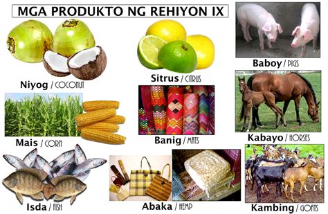 Pangunahing produktong pang.